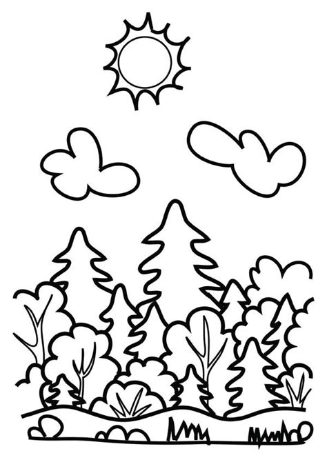 drawing forest coloring page coloring sky