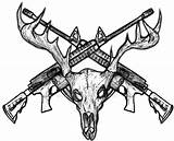 Deer Skull Drawing Mule Horns Getdrawings Drawings Paintingvalley Collection sketch template