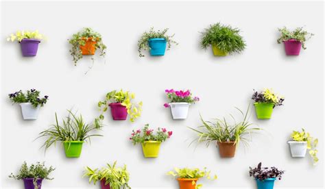 wall planters  home installation benefits design ideas
