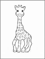 Giraffe Girafe Coloriages Animaux Giraffes sketch template