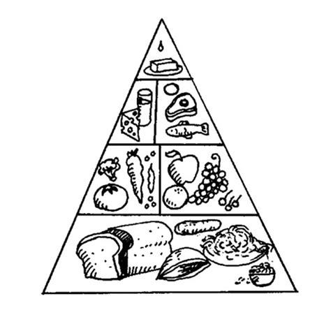 pin  food pyramid coloring pages