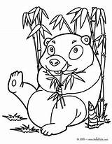 Panda Coloring Funny Pages Bamboo Under Color Online Print Hellokids Animal Animals Wild sketch template