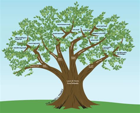 family tree created  illustrator