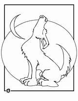 Howling Lupo Wolves Stampare Kleurplaat Coloring Atuttodonna sketch template