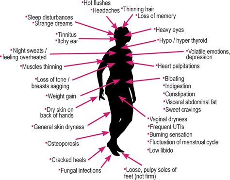 Menopause Hormone Levels Chart