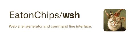 wsh web shell generator  command  interface