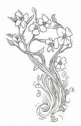 Cherry Coloring Blossom Tattoo Tree Library Clipart Outline Traditional Drawing Pages sketch template