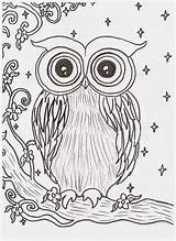 Owl Night Print Coloring Click Rachel Simply sketch template