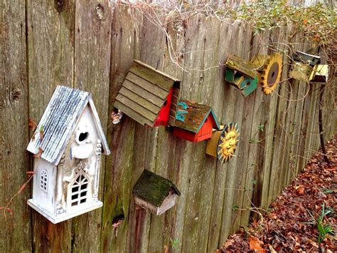 diy chickadee birdhouse plans   build today  pictures house grail