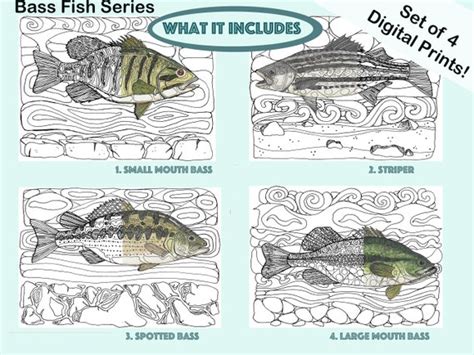 freshwater fish coloring pages adult coloring pages etsy