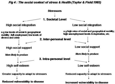 section 5 stigma and how to tackle it health knowledge