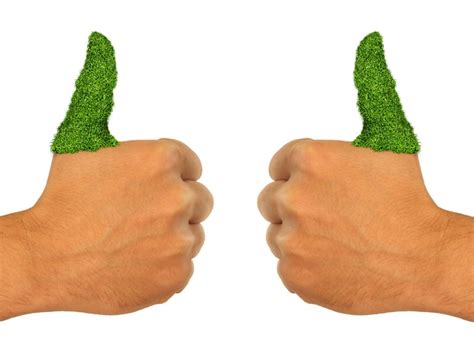 green thumb gardening debunking  myth   green thumb