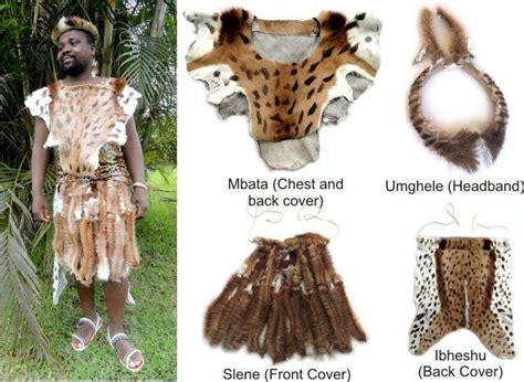 traditional zulu mans outfit warrior outfit zulu warrior south