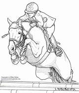 Jumping Dressage Getdrawings Thoroughbred Coloringpages2019 sketch template