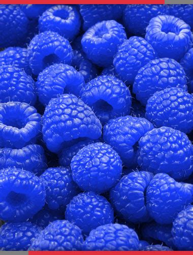 blue raspberry flavoring simplyflavor