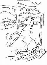Selvaggio Cavallo Mustang Malvorlagen Stallion Wilde Cimarron Eis Rutscht Pferde Ausmalbild Kolorowanki Dzikiej Cucciolo Colorearrr Doliny Druku Chevaux Voleva Ghiaccio sketch template