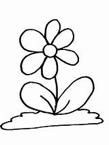 Coloring Pages Flowers Print Easily Kids sketch template