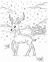 Reindeer Coloring Pages Christmas Museprintables Printable Pdf sketch template