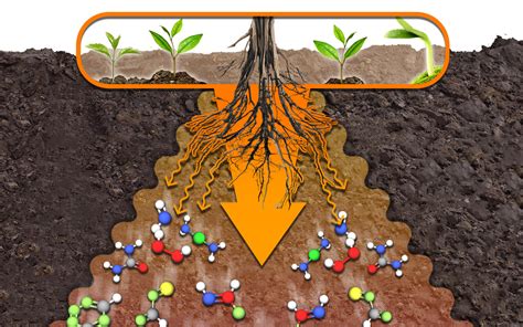 agrochemist doubles  speed  organic substance decomposition   soil