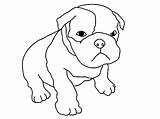 Pitbull Puppy Coloring Pages Sketch Drawing Getdrawings sketch template