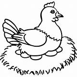 Chicken Hen Coloring Egg Drawing Line Pages Sitting Her Clipart Laying Openclipart Netart Seahorse Wavy Put Shot Clipartmag Hens Fruit sketch template