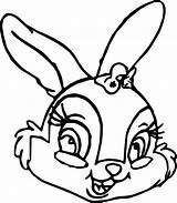 Bunny Pages Coloring Thumper Miss Face Thumpers Sisters Wecoloringpage Cartoon sketch template