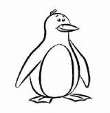 Penguin Coloring Pages Penguins Outline Printable Template Drawing Cartoon Print Clipart Pittsburgh Templates Colouring Animal Funny Kids Color Worksheets Drawings sketch template
