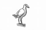 Pukeko Bird Cartoon Zealand Retro Drawing Cart Add sketch template