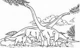 Brachiosauro Dinosauri sketch template