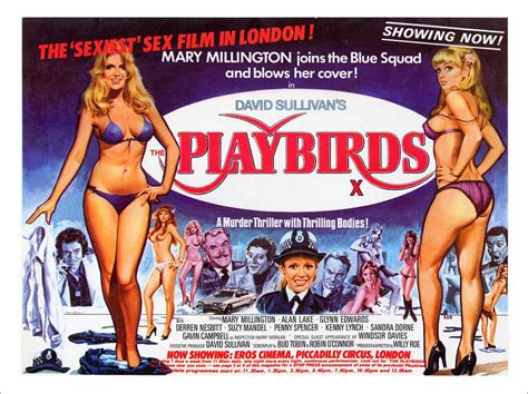 playbirds mary millington adult movie poster 1970s art