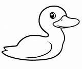 Duck Cute Coloring Pages Duckling Ducks Clipart Getdrawings Color Print Getcolorings Library sketch template