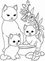 Gatos Gatinhos Coloring sketch template