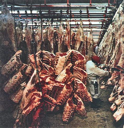 Analysis of the slaughterhouse case