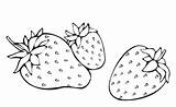 Frutta Verdura Coloriamo Sottocoperta Fragole Preferito Tasto Facili sketch template
