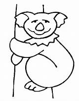 Koala Bear Coloring Pages Kids Printable Bears Color Popular Library Coloringhome Fun sketch template