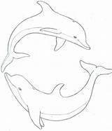 Dolphin Dauphin Coloring Dolphins Delphine Delfin Step Jumping Malvorlagen Zeichnung Arouisse Siterubix Dolfijn Getdrawings Wandbemalung Muscheln Nachzeichnen Acrylbilder Erstellen Outlined sketch template