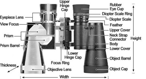 choosing  binoculars powa beam