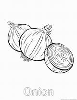 Onion Coloring Pages Comments sketch template