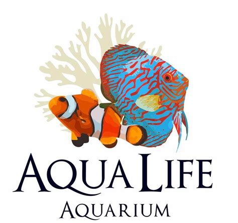 aqua life aquarium city  rocklin