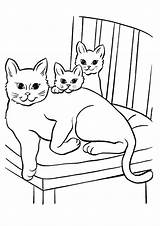 Coloring Kitten Pages Family Kids Printable sketch template