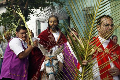 palm sunday  witness  palm branches  dialog