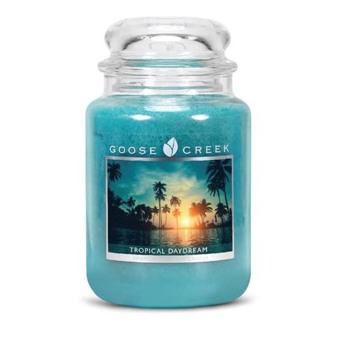 goose creek tropical daydream large jar candle es candle emporium