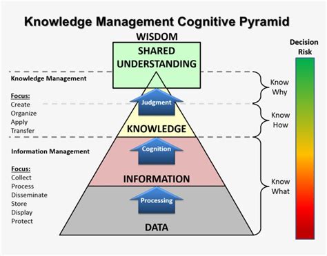 continuum  understanding knowledge management cognitive pyramid  transparent png