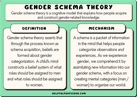 gender schema theory examples definition criticisms