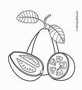 Guava Coloring Pages Sketch Kids Fruit Fruits Colouring Printable Drawing Color 4kids Paintingvalley Food Getcolorings Guavas sketch template