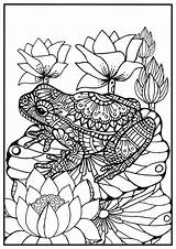 Coloring Zentangle Frogs Vuxna Målarbild Groda Mindfulness Ausmalen Frosch Färglägg Erwachsene Vackra sketch template