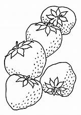 Strawberries Fruits Indiaparenting Bacheca sketch template