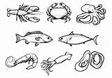 Seafood Vectors Vector Clipart Vecteezy Edit Graphics sketch template