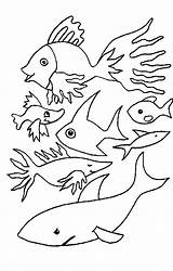 Poissons Colorat Poisson Pesci Fische Pestisori Animale P21 Ausmalen Fisch Davril Planse Wassertiere Pesce Desene Colorear Coloriages Primiiani Ausmalbild Peces sketch template
