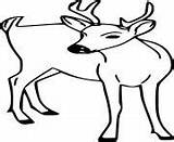 Deer Coloring sketch template